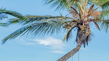 Relax by the ocean with a surfboard at your side.