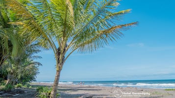 Una playa cerca, arena negra