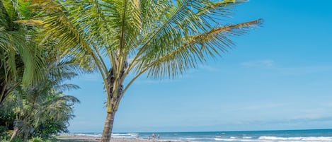 Playa en los alrededores y playa de arena negra 