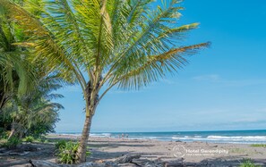 Nær stranden og sort sand