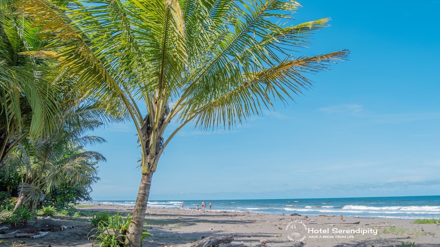 Hotel Serendipity tortuguero