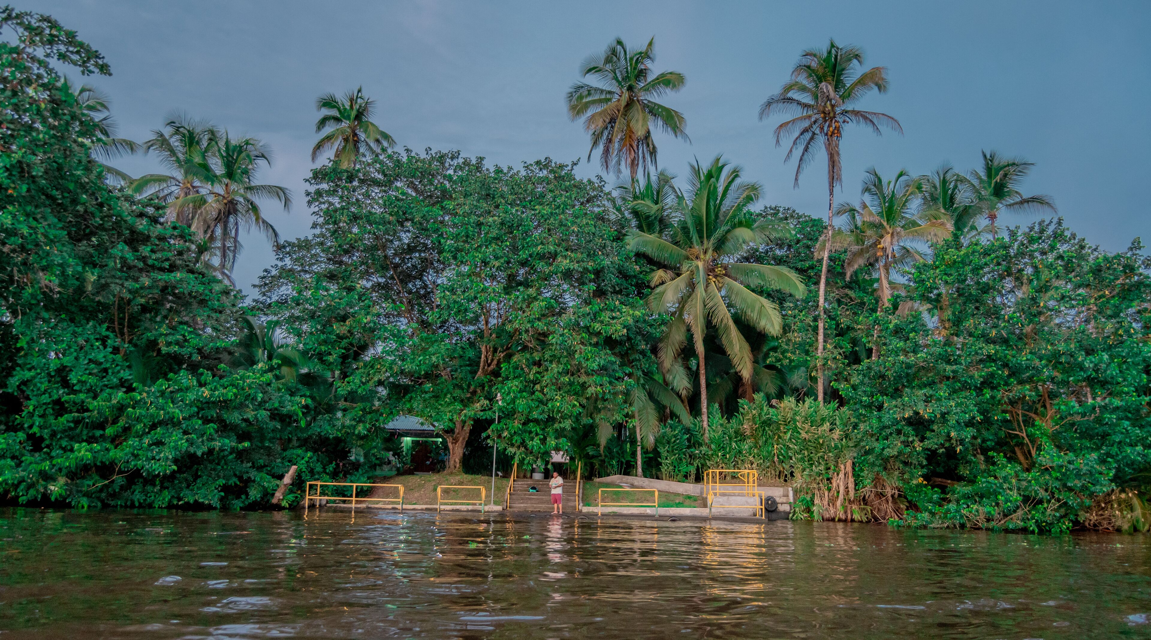 A river with a bridge and palm trees.