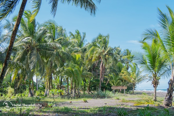 Beach nearby, black sand