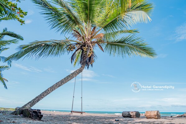 Beach/ocean view - Hotel Serendipity tortuguero (Colorado)