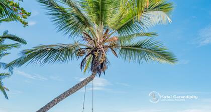 Hotel Serendipity tortuguero