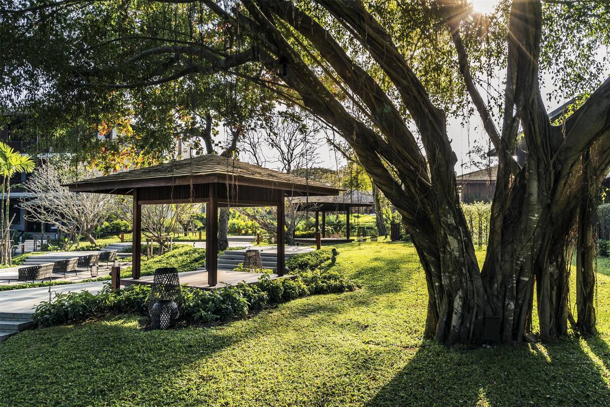 Un espace extérieur aménagé, abrité et doté de bancs et d’une pergola, entouré d’une végétation luxuriante et d’arbres.