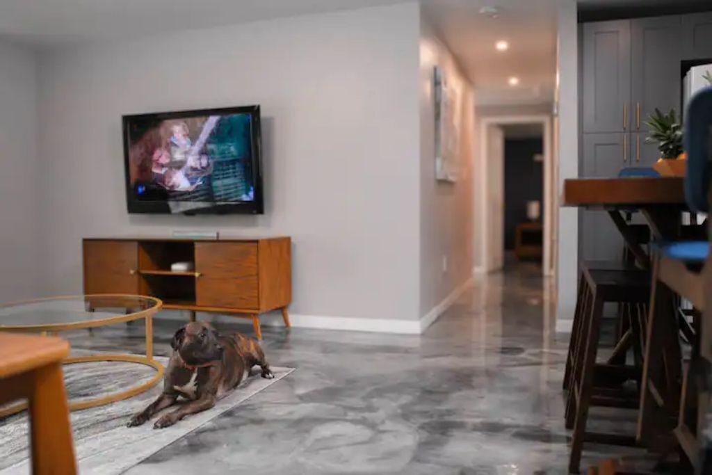 Charming Family Oasis - Dog-Friendly - Backyard