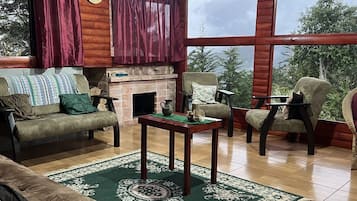 TV, fireplace, DVD player