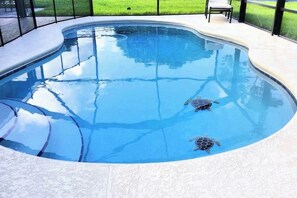 A heated pool