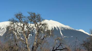 A snow-covered mountain with bare trees in the foreground.
