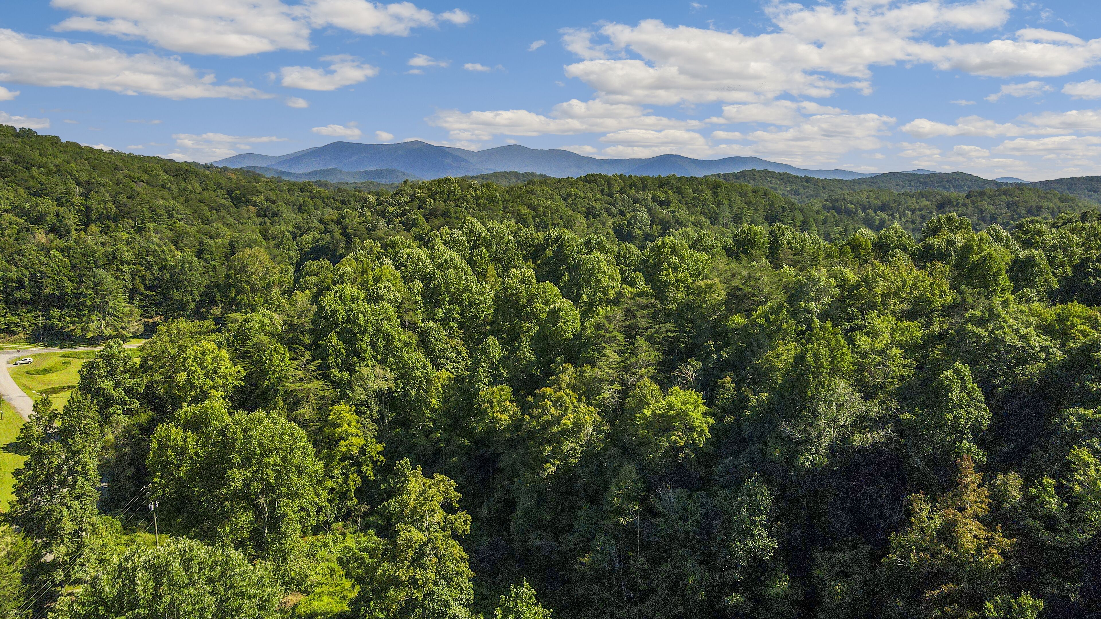A forested landscape with a clear sky and distant mountains.