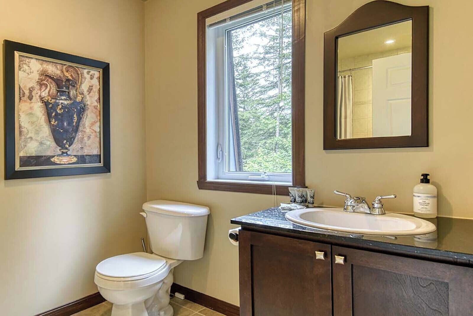 A bathroom with a toilet, sink, and a window.
