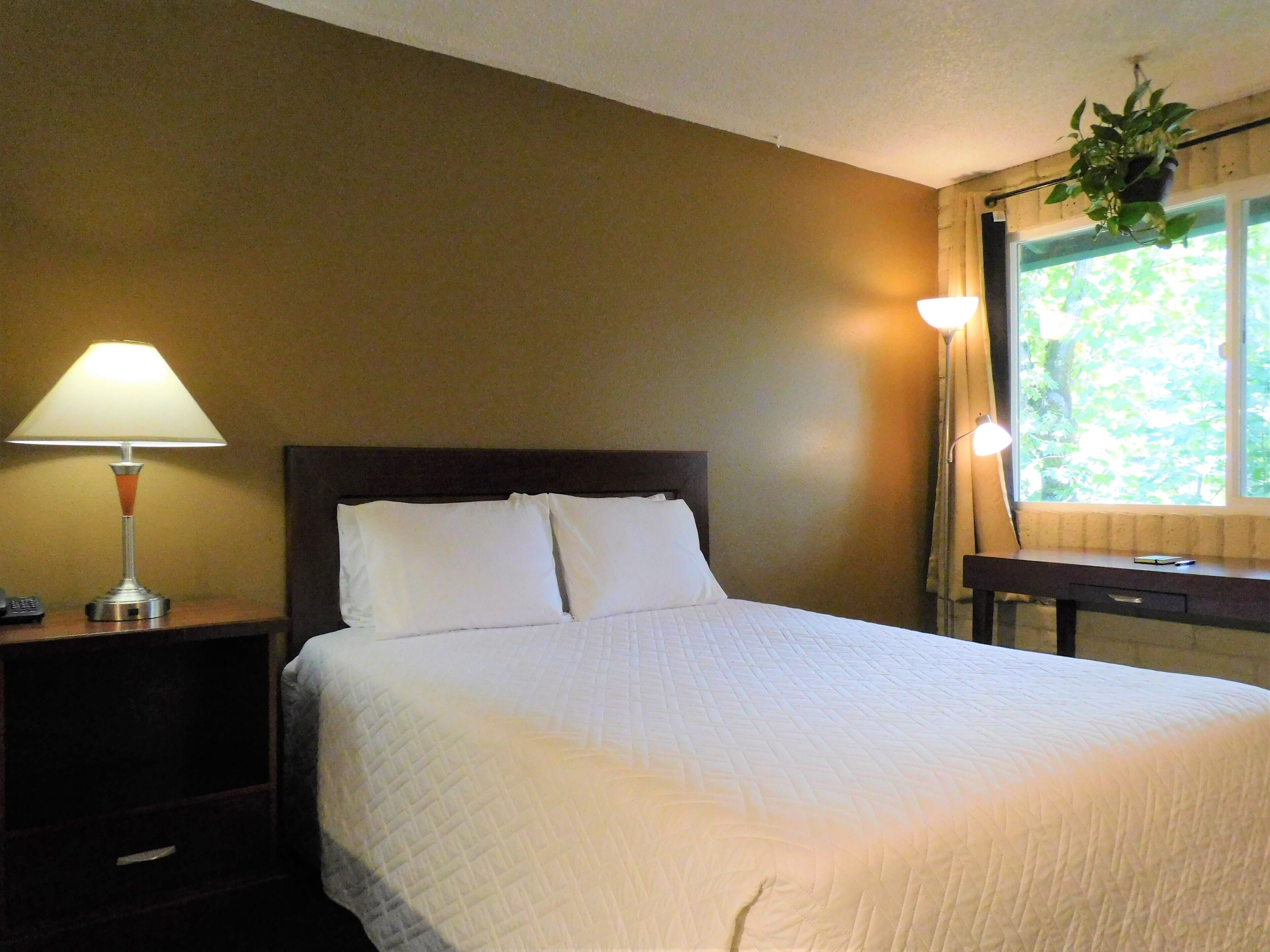 Een bureau, verduisterende gordijnen, een strijkplank/strijkijzer