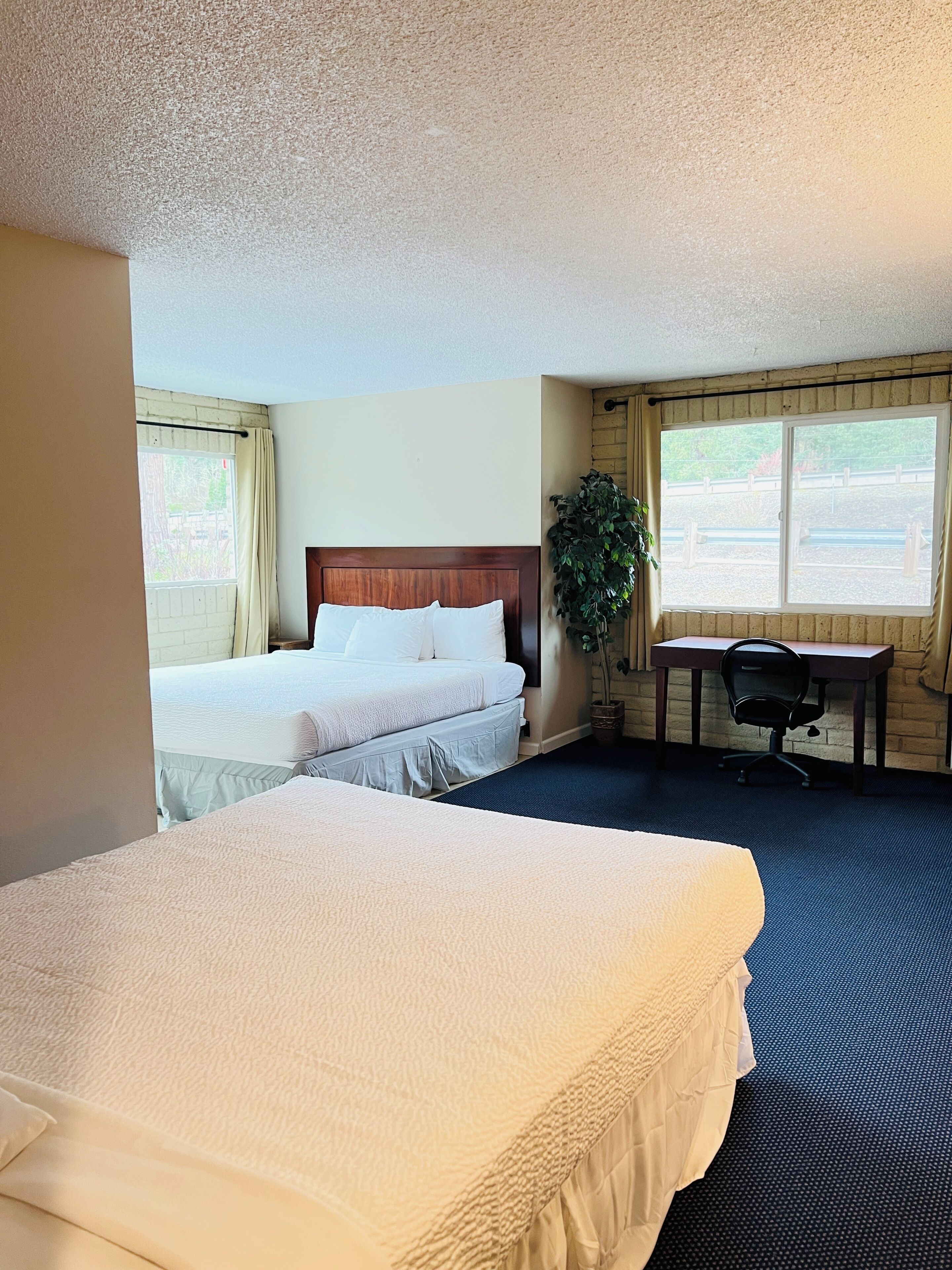 A hotel room with two beds, a desk, a chair, a potted plant, and a view of the outside.