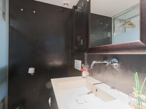 Shower, hair dryer, towels, toilet paper