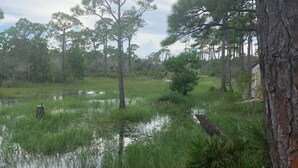 A view of a natural landscape with a water body, trees, and a red railing. - Peaceful bungalow and birdwatcher's paradise 1/2 mile to the Gulf beach. (Gulf Shores)