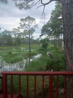 Parco della struttura