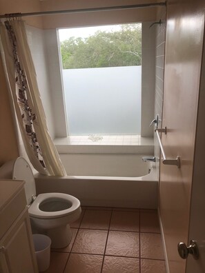 Combined shower/bathtub, hair dryer, towels, soap