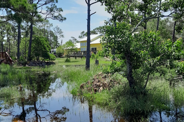 Àrea exterior de l'allotjament