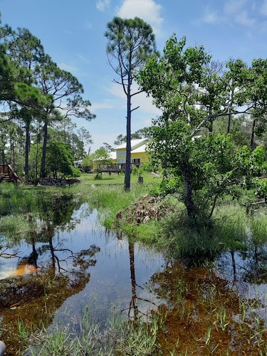 Peaceful bungalow and birdwatcher's paradise 1/2 mile to the Gulf beach.