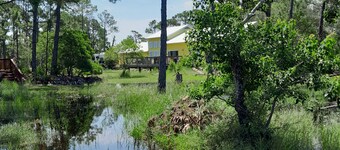 Peaceful bungalow and birdwatcher's paradise 1/2 mile to the Gulf beach.