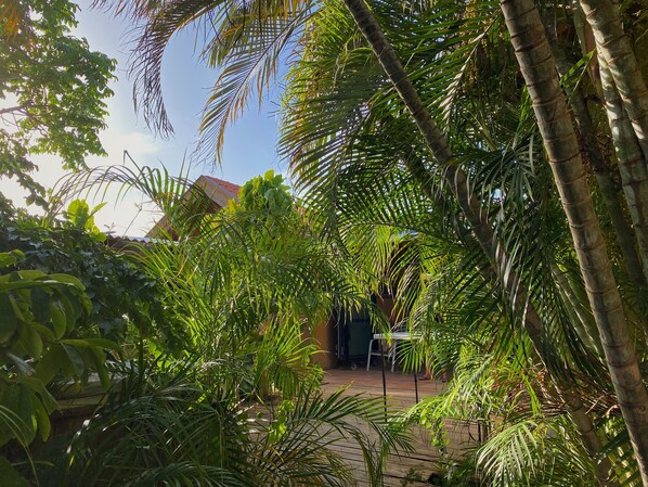 Property grounds - Relaxing Loft Studio Cabin - 5 min from the beach! (Savaneta)