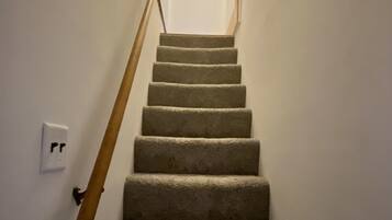 A carpeted staircase with a wooden handrail and a light fixture at the top.