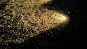 A nighttime outdoor area with a pathway lit by artificial lights, surrounded by grass and trees.