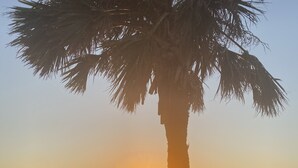 Une terrasse en bois avec un palmier, donnant sur une plage où le soleil se couche sur l’eau.