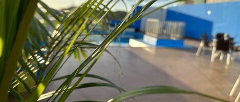 A view of a building's exterior with a blue and white facade, a concrete ground, and a palm tree in the foreground.