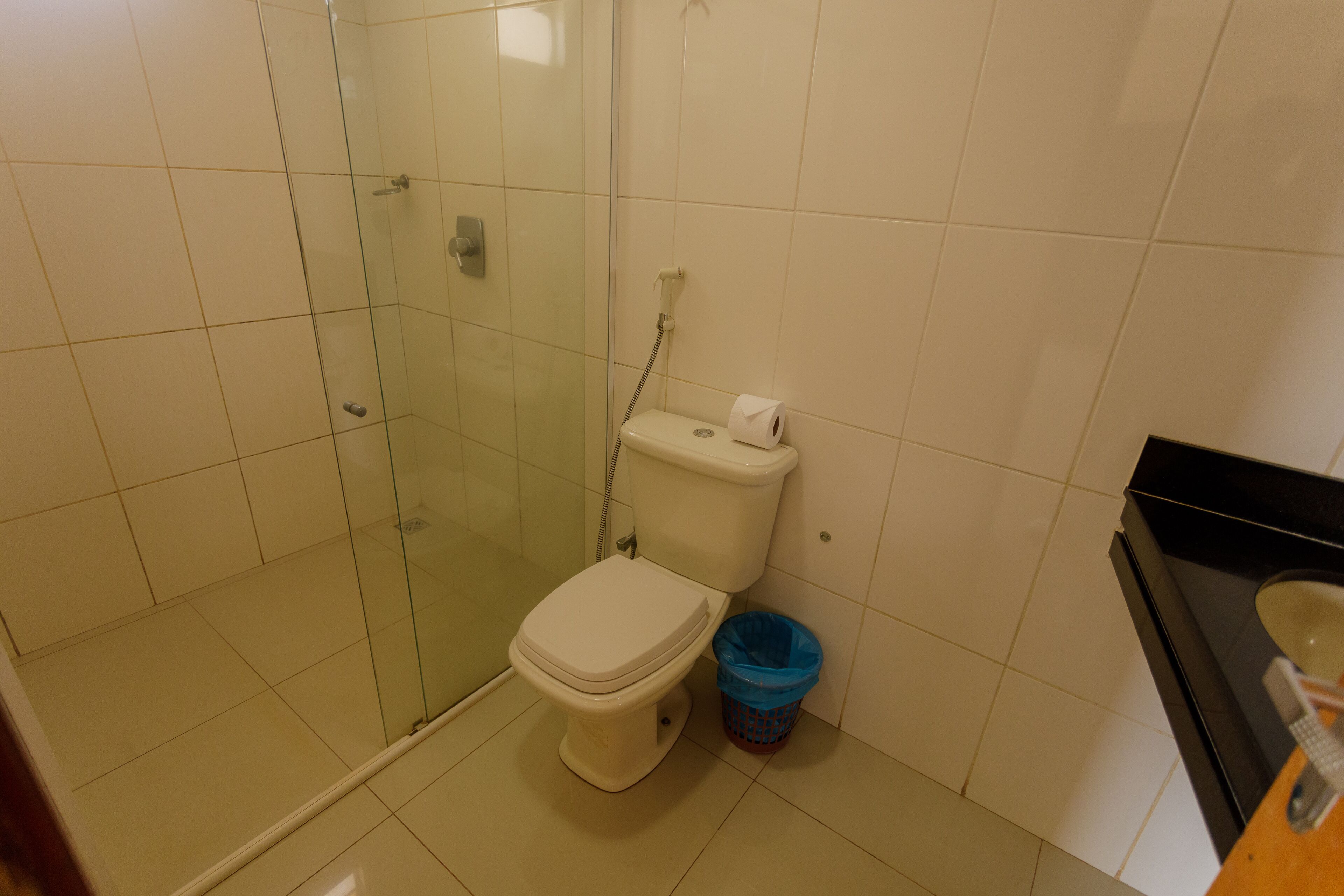 A bathroom with a toilet, a glass shower enclosure, and a trash bin.