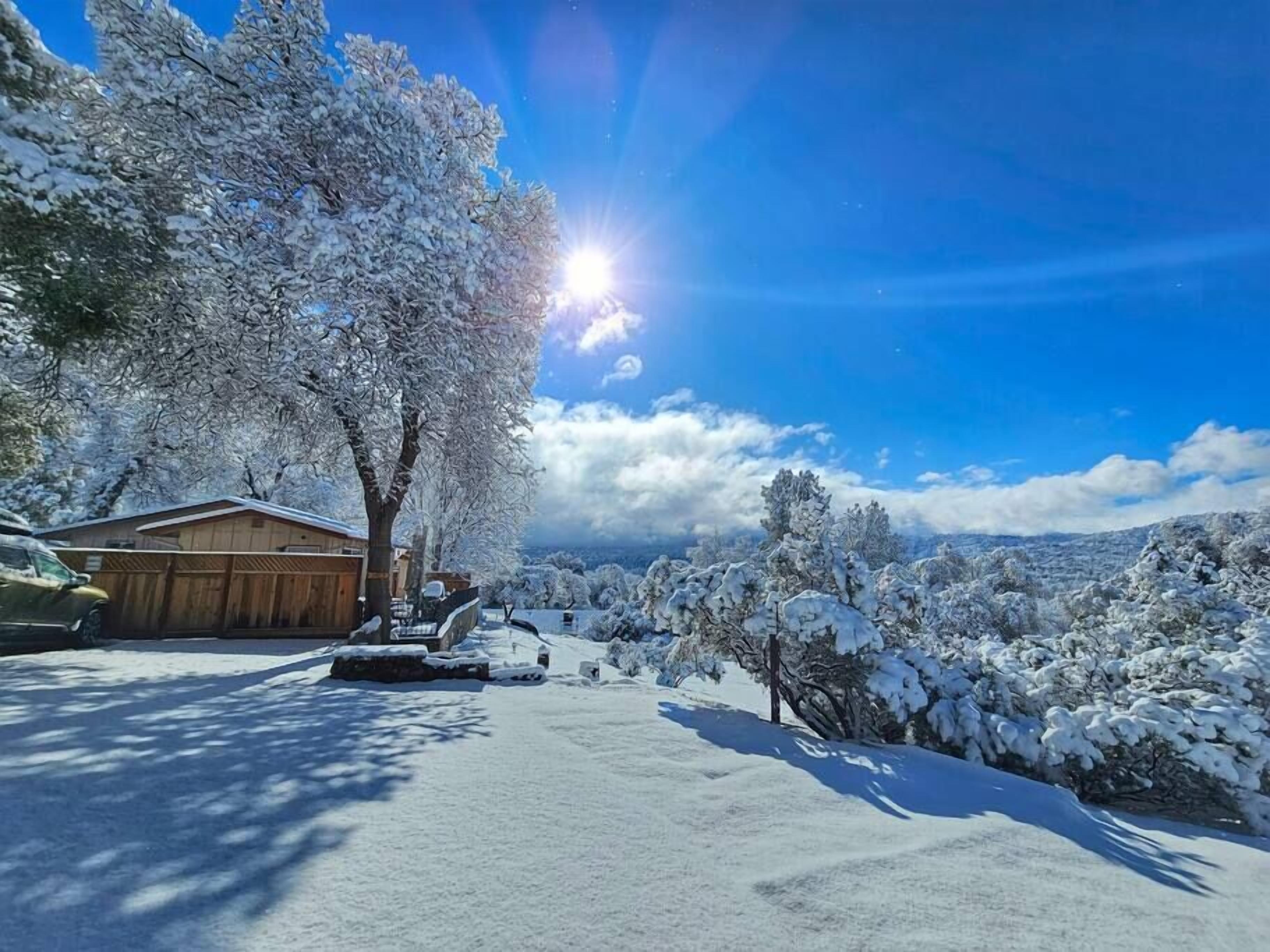 Et sneklædt landskab med et hus, træer og en klar blå himmel.