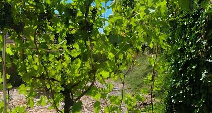 G&P Housing Apartments - Premium