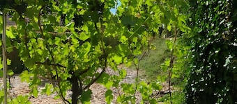 G&P Housing Apartments - Premium