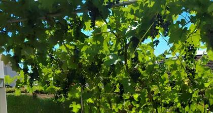 G&P Housing Apartments - Premium