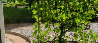 G&P Housing Apartments - Premium