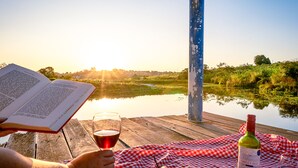 Una terraza de madera con mantel a cuadros rojo y blanco, una botella de vino, una copa de vino y un libro.