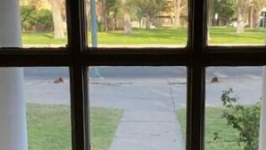 Vista a través de una ventana, con un sendero de ladrillo que lleva a una zona verde.