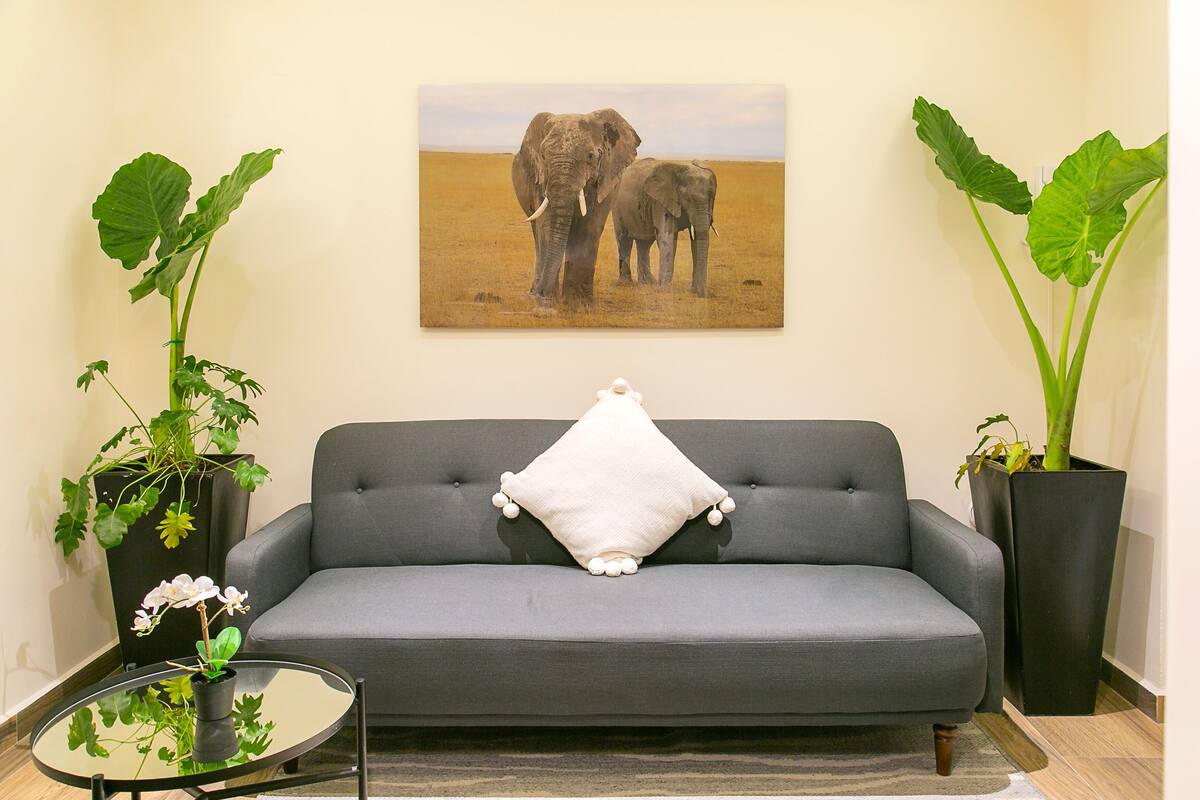 Ein Wohnzimmer mit grauem Sofa, einem weißen Kissen, einem Glastisch und zwei großen Kübelpflanzen.