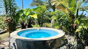 Jacuzzi rodeado de plantas tropicales y un muro de piedra.