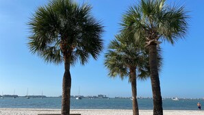 A beach with palm trees, a bench, and boats in the background. - Waterfront Marina District  Luxury Home & In-law Suite (Gulfport)