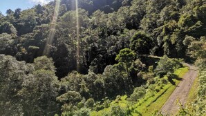 A lush, green landscape with a dirt path winding through a forested area. - Millar de Aves Eco Cabin with mountain views and trails (Cerro Alto)