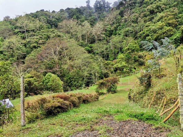 Property grounds - Millar de Aves Eco Cabin with mountain views and trails (Cerro Alto)