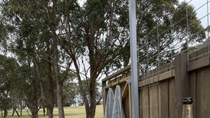An outdoor patio with a wooden table, two glasses of champagne, and a bottle of Mumm wine. - Marlo Hideaway (Marlo)