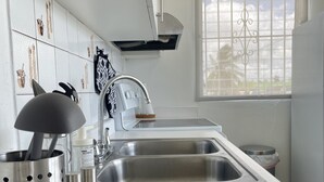 A modern kitchen with a double sink, stainless steel appliances, and a window with a decorative grille. - Stunning 2 BR Private Apartment with Parking (Carolina)