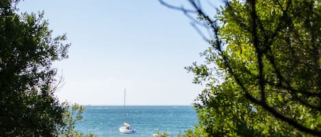 在海灘附近