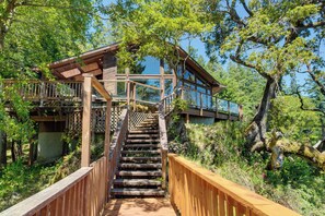 A wooden staircase leading to a glass-roofed wooden structure amidst lush greenery.