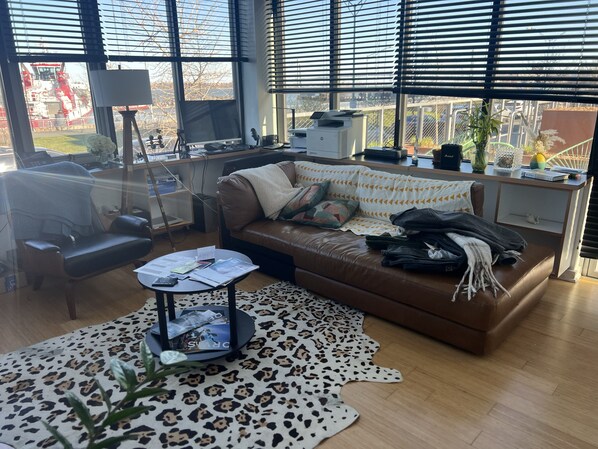 Smart TV, videojuegos, monitor de computadora y impresora 