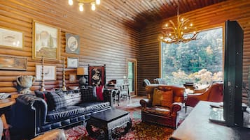 TV, fireplace, video games, offices