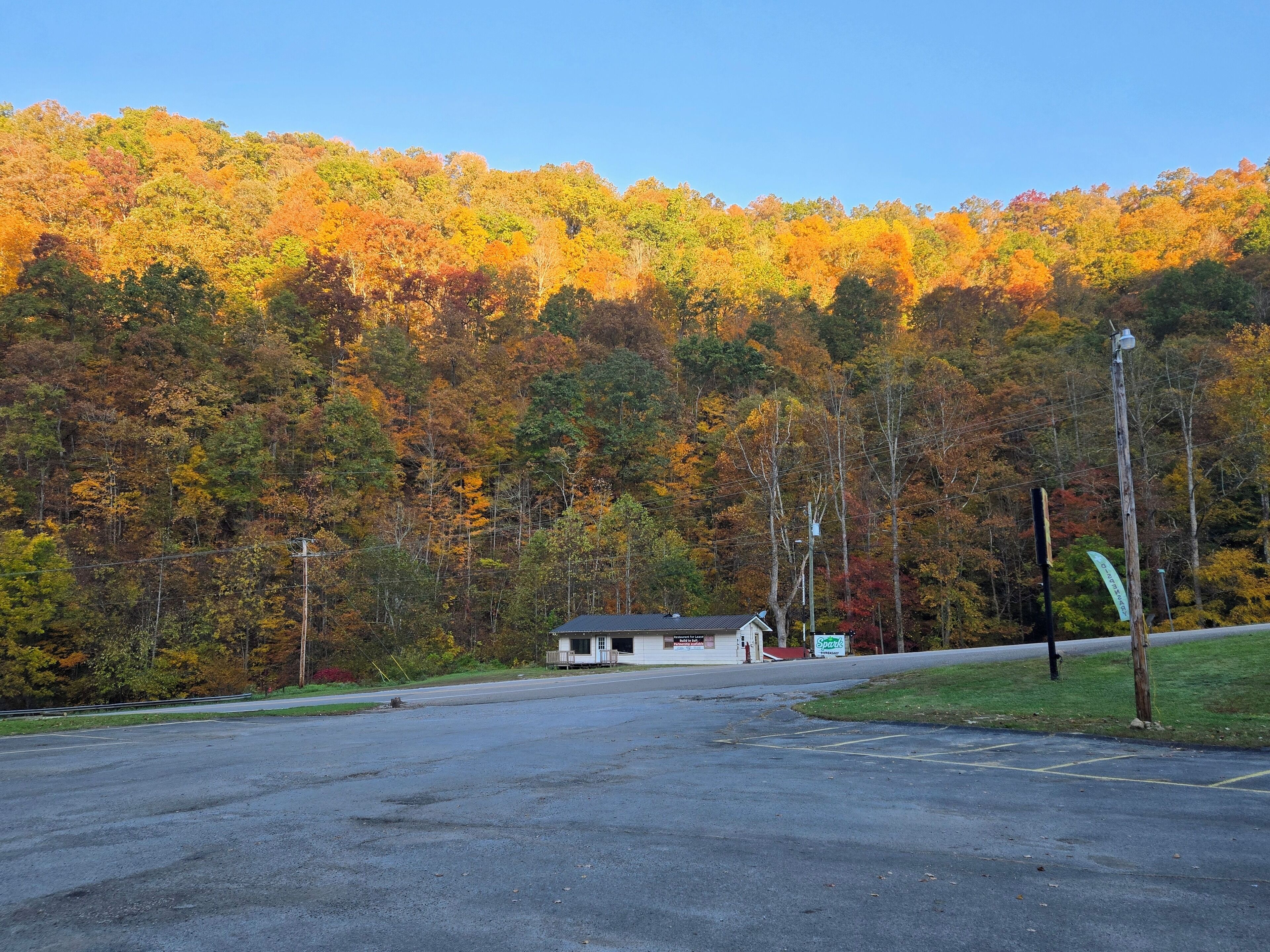 A parking lot with a building in the distance, surrounded by a forest with autumn foliage.